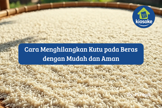 4 Cara Menghilangkan Kutu pada Beras dengan Mudah dan Aman
